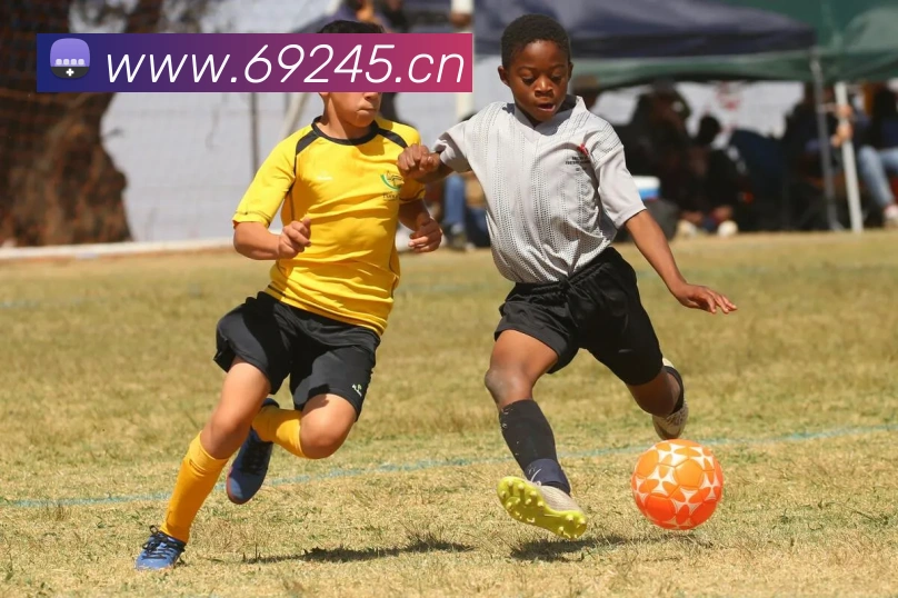 星空体育app直播APP 封面图